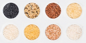 Rice Types in Pakistan Rice Types in Pakistan